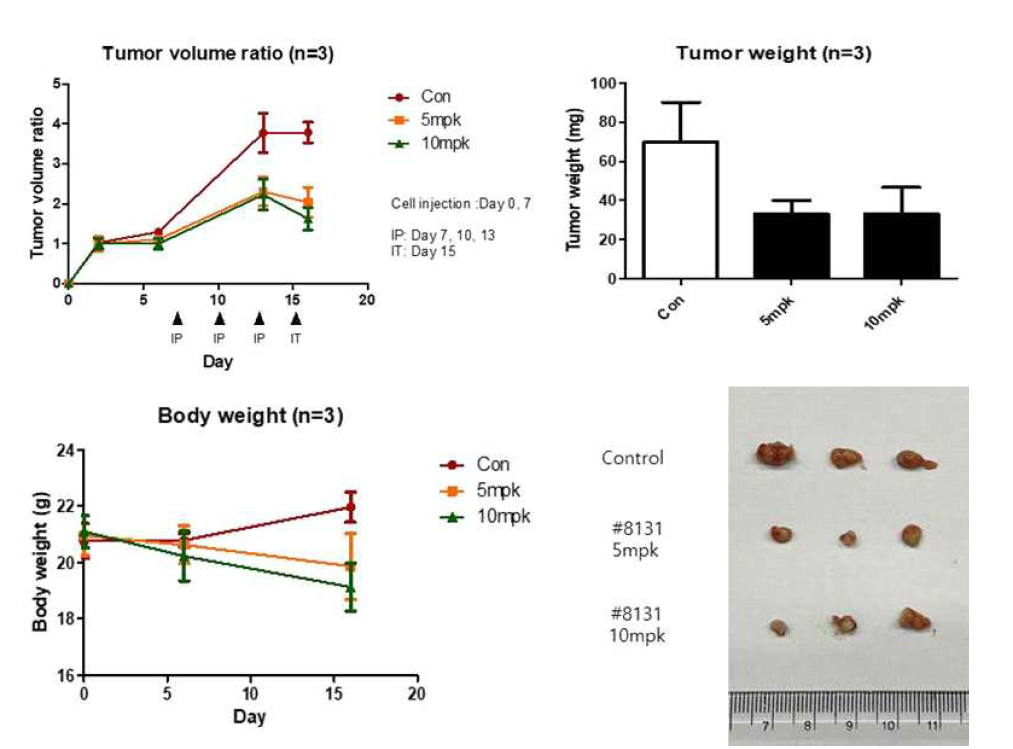 JNC-8131, In vivo 효능