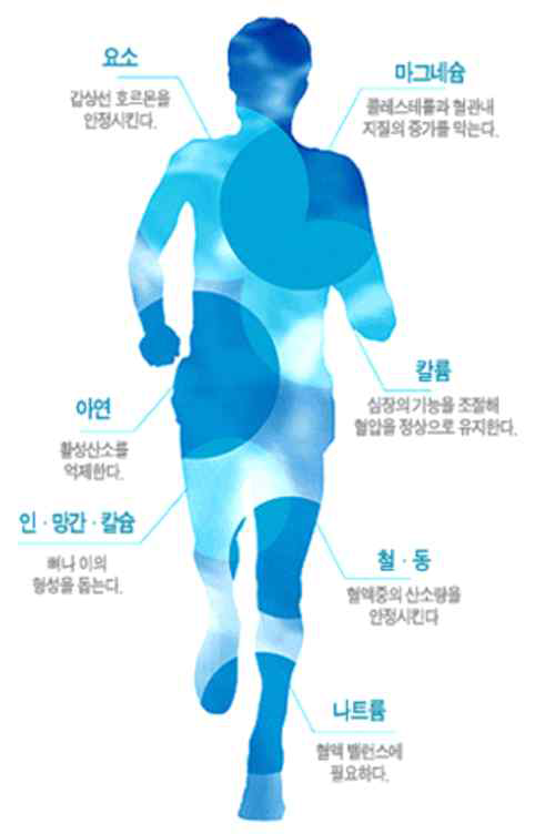 인체의 물질성분 분포도