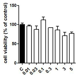 Lactobacillus salivarius 열처리 유산균의 세포독성 확인