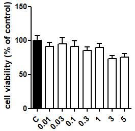 Lactobacillus plantarum 열처리 유산균의 세포독성 확인