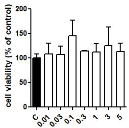 Lactobacillus paracasei 열처리 유산균의 세포독성 확인