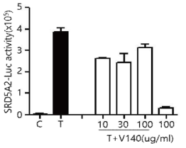 Lactobacillus paracasei 열처리 유산균의 luciferase assay