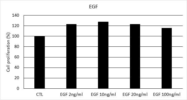 EGF 의 농도별 처리 시 사람 모유두세포의 증식률 비교(CTL: EGF 0 ng/㎖)