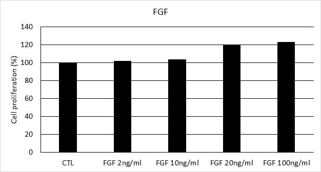 FGF 의 농도별 처리 시 사람 모유두세포의 증식률 비교(CTL: FGF 0 ng/㎖)