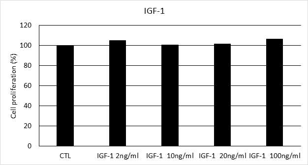 IGF-1 의 농도별 처리 시 사람 모유두세포의 증식률 비교(CTL: IGF-1 0 ng/㎖)