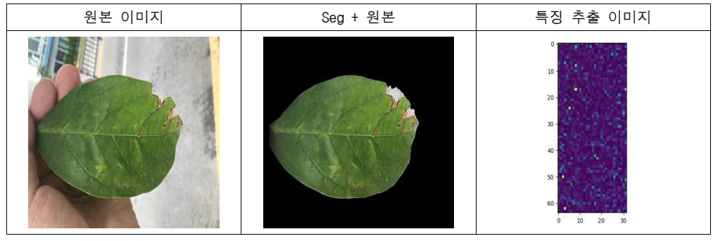 anomaly 분석 과정