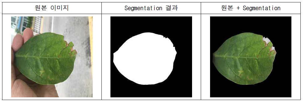 Deeplab 분석 과정