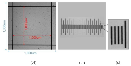 (가)광학 시스템으로부터 촬영된 SR 챔버 셀의 형태, (나) 1mm 표준 스케일을 촬영한 이미지, (다) 선폭 3um의 눈금을 확대한 이미지