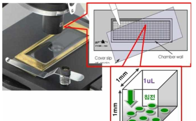 현미경에 장착된 SR 챔버와 분석되는 조류의 형태 개요도