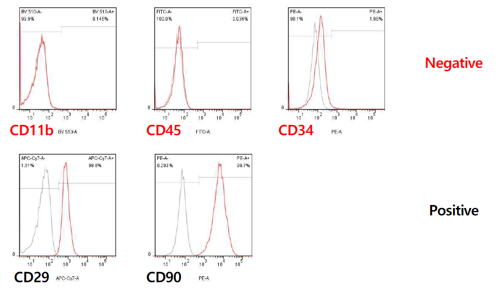 바이오리액터에서 배양한 CaninePL-MSC의 세포표면 인자 발현 검증