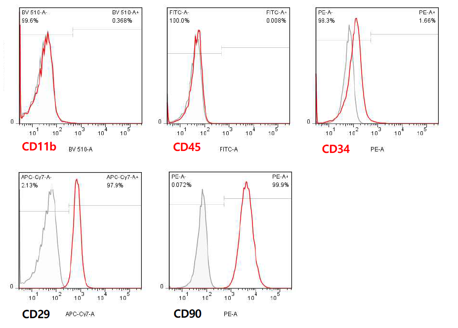 바이오리액터에서 배양한 CanineAD-MSC의 세포 표면 인자 발현 검증
