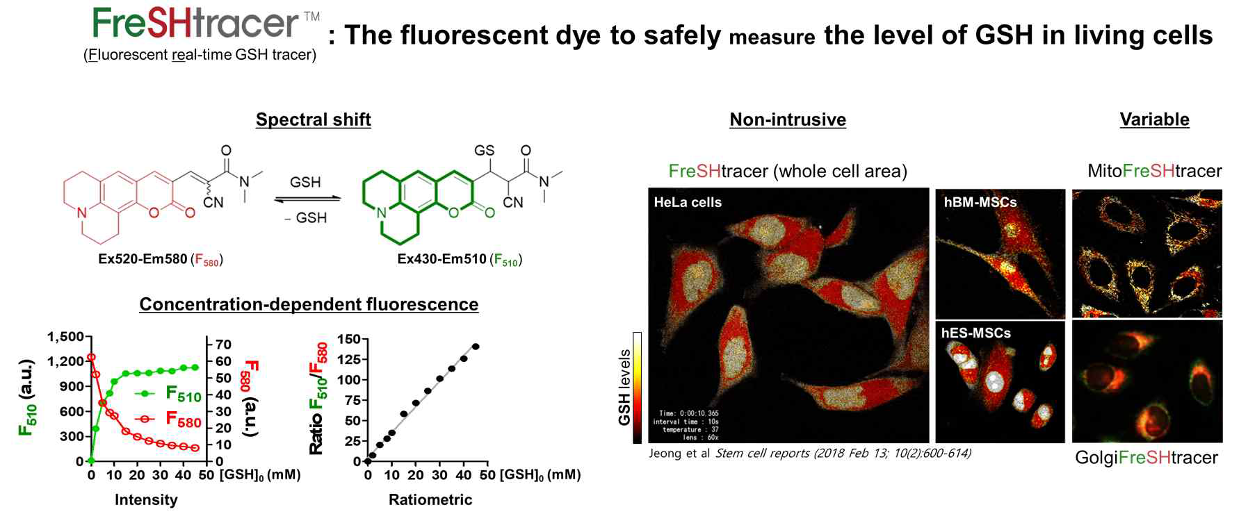 세포 내 GSH 탐지자 FreSHtracer