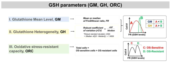 GSH와 관련된 3 가지 parameter 정립