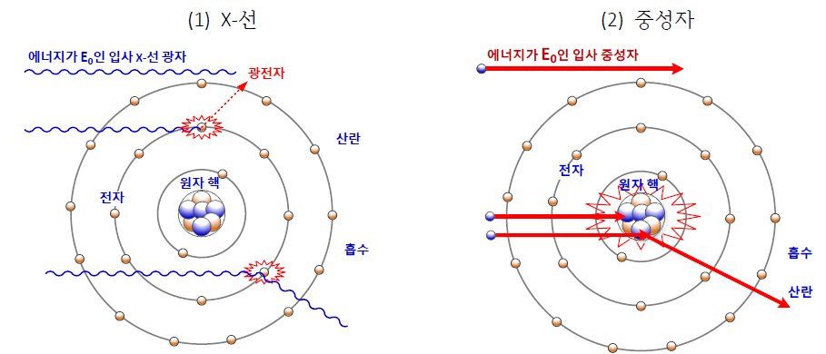 (1) X-선 및 (2) 중성자의 물질과 상호작용