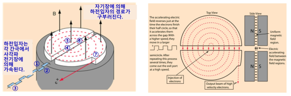 사이클로트론의 기본 도형