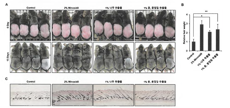 Dalbergia oliveri의 부위별 (나무, 콩 · 콩껍질 ) 추출물이 anagen induction에 미치는 영향