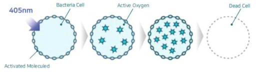 UV-A 파장에서 세균내 존재하는 포피린(Porphyrin)의 활성산소 발생으로 인한 세균의 사멸 메커니즘