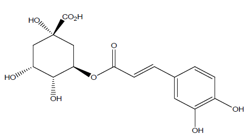 클로로겐산 (Chlorogenic acid)