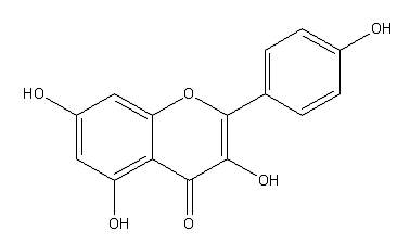 켐페롤(Kaempferol)