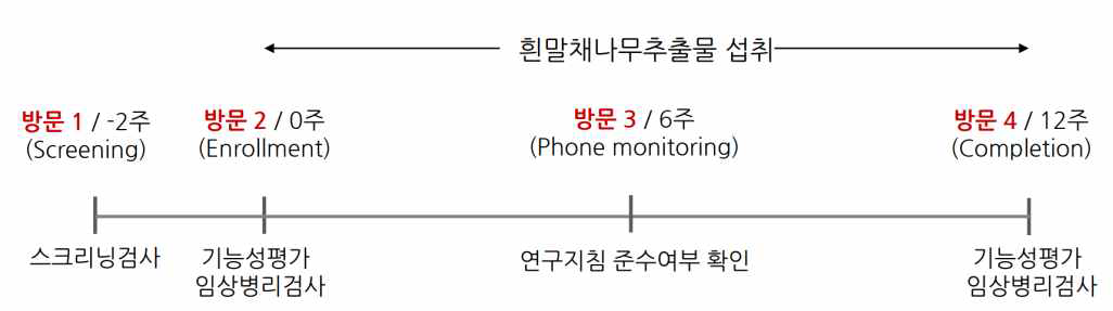 인체적용시험 설계