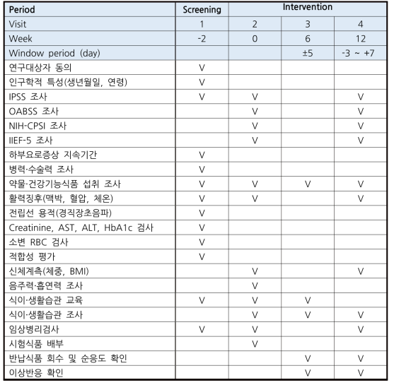 연구 진행 일정표