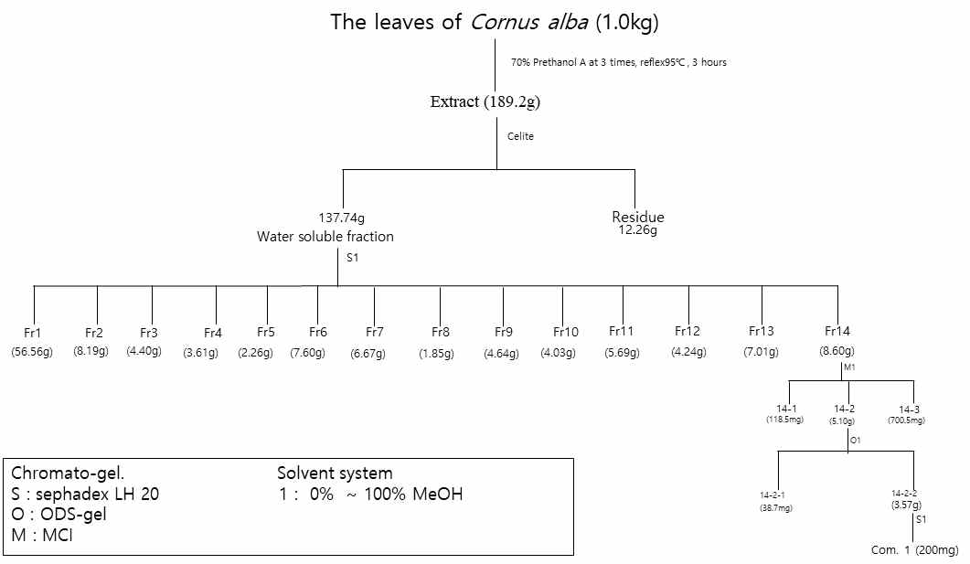 cornusiin A 분리 흐름도