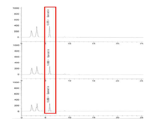 흰말채나무 각 Lot 당 Quercetin 함량 측정 결과