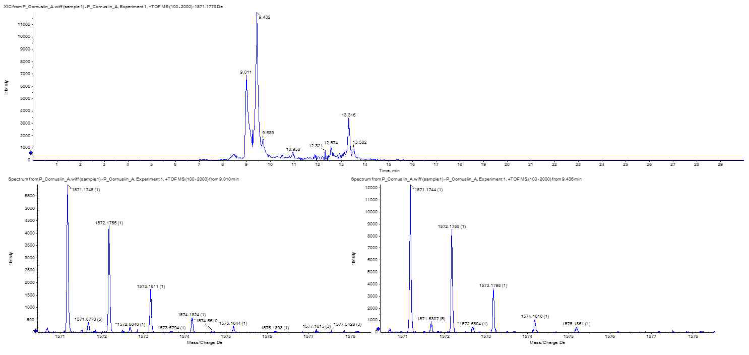 Cornusiin A HR-LC/MS(High resolution LC/MS)