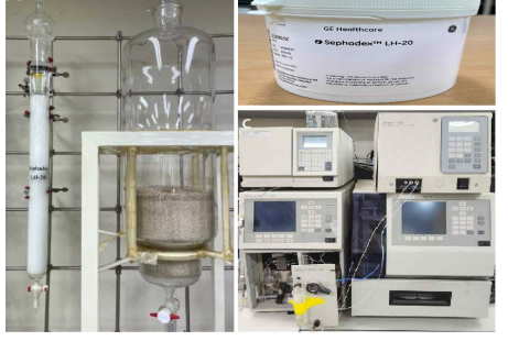 컬럼 및 분리기기 A. 대형컬럼 B. 겔(Amberlite XAD-2/ Sephadex-LH20) C. Prep HPLC/MPLC