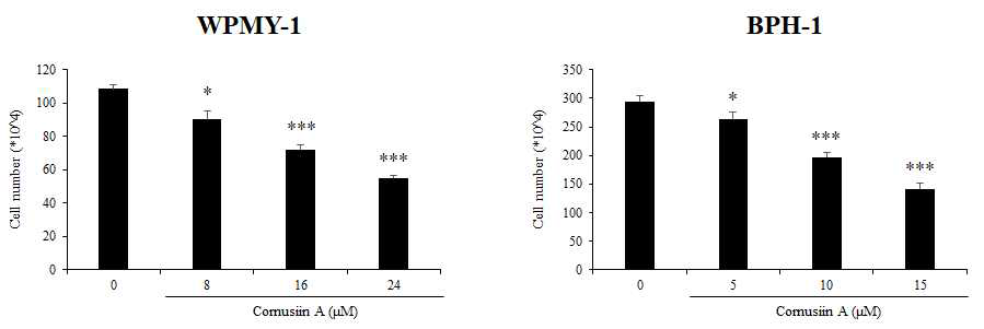 흰말채나무 화합물 Cornusiin A 처리에 의해 전립선 세포의 증식 억제 ( * p<0.05, ** p<0.01, *** p<0.001)