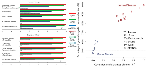 질병 모델별 사람과 마우스 간 signaling pathway와 유전자 발현 경향의 차이