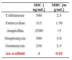 임상에 적용되는 항생제와 금나노입자가 도입된 구조체의 MIC와 MBC 평가 결과