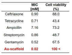 임상에 적용되는 항생제와 금나노입자가 도입된 구조체의 MIC 조건에서의 세포 독성 평가