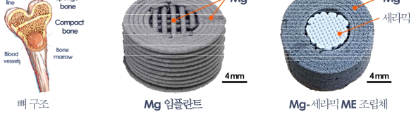 ME 공정 기반 Mg-세라믹 동시 적층제조 방안 검토