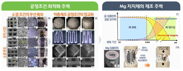 5차년도 연구계획[1,8,14]