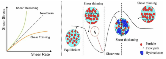 Shear thinning, Newtonian, Shear thickening 거동