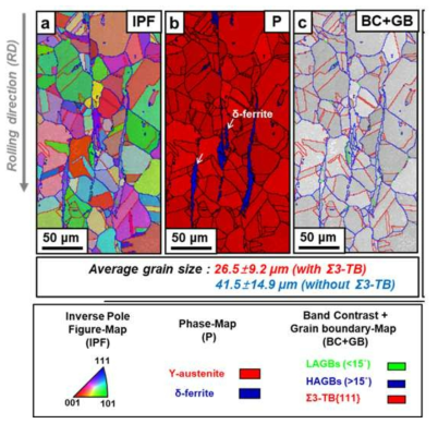 304L 합금의 EBSD 분서 결과; (a) Inverse pole figure map, (b) phase map, (c) grain boundary map