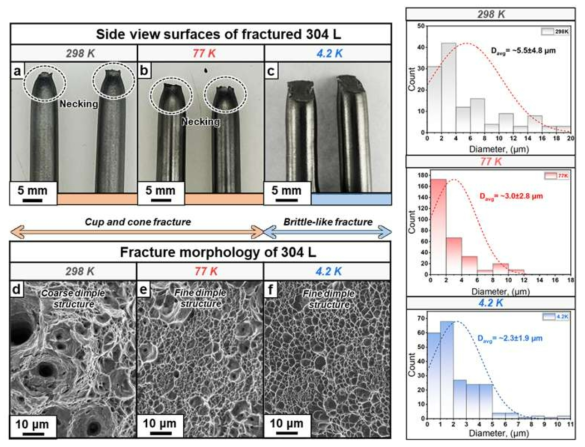 304L 합금의 온도 별 파괴 거동 분석 결과; (a)~(c) Macro 파단 이미지, (d)~(e) fractography