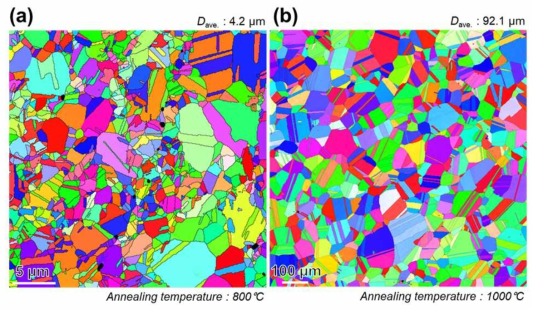 CoCrFeMnNi 등원자조성 고엔트로피합금의 어닐링 온도에 따른 초기 미세조직; (a) 800도, (b) 1000도