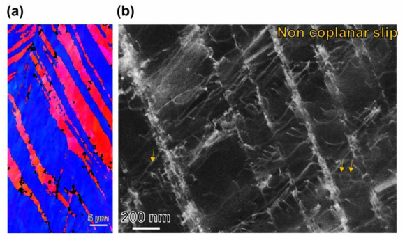 CoCrFeMnNi 고엔트로피합금의 4.2K 변형 조직; (a) EBSD inverse pole figure map, (b) ECC image