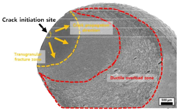 20K 최대응력 900MPa 피로시편의 파단면 전자주사현미경 (SEM) 분석