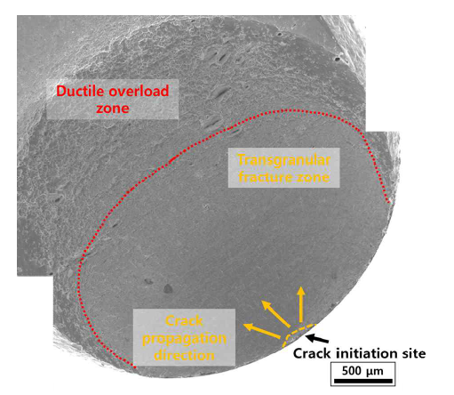 20K 피크응력 1000 MPa 피로시편의 파단면 전자주사현미경 (SEM) 분석