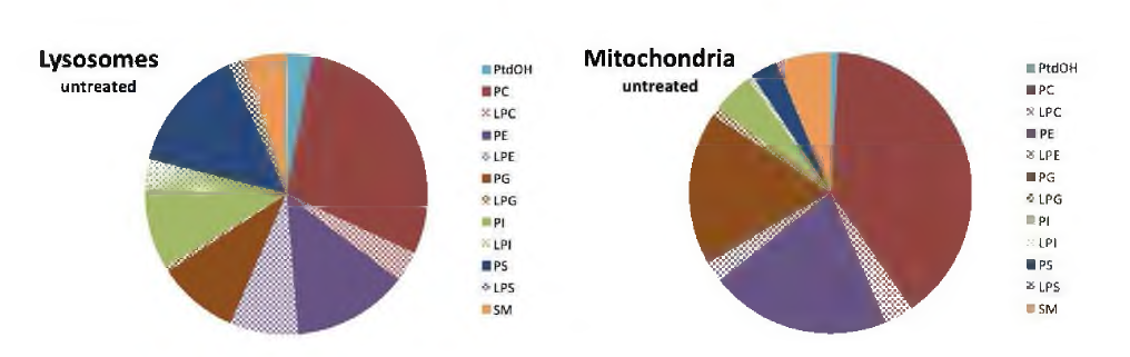 lysosome과 mitochondria에서 lipid profiling의 변화