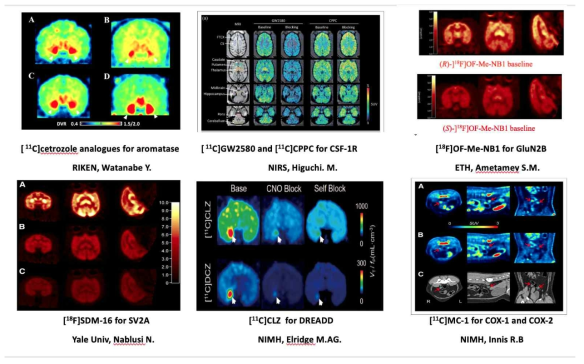 영장류를 이용한 뇌질환 PET 국외 연구 사례