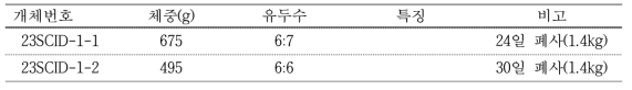 #GB-21 대리모 생산 자돈 생시정보