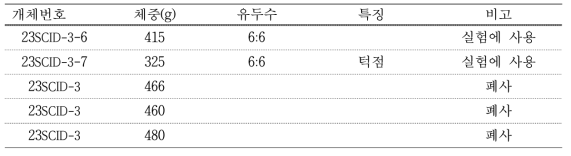 #N9-64 대리모 생산 자돈 생시정보