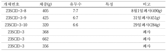 #M12-24 대리모 생산 자돈 생시정보