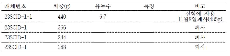 #M12-24 대리모 생산 자돈 생시정보