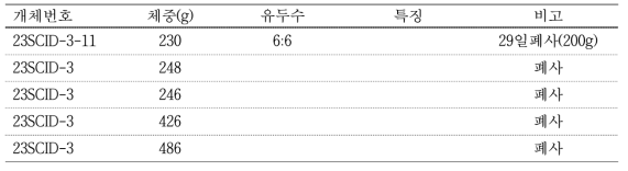 #HF-03 대리모 생산 자돈 생시정보