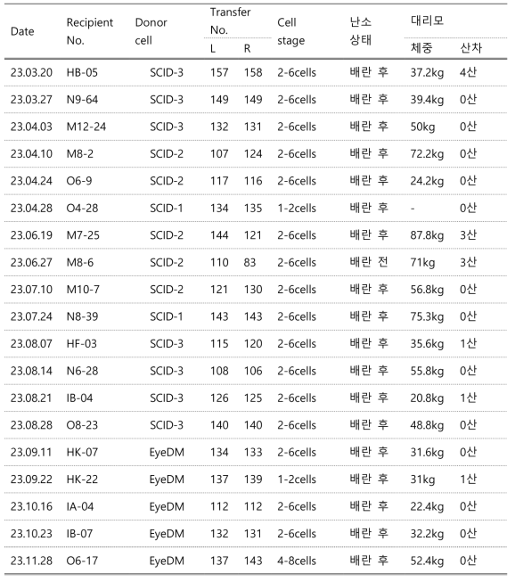 2023년도 마이크로피그 embryo transfer 현황 및 대리모 상태